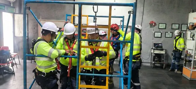 Práctica con arneses y sistemas de protección